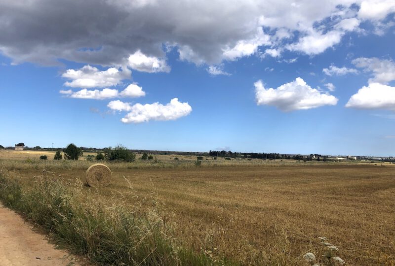 Apulien Landschaft1 Apulien Landschaft1