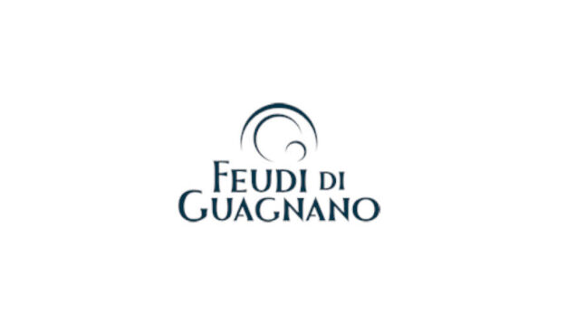 Feudilogothumb1