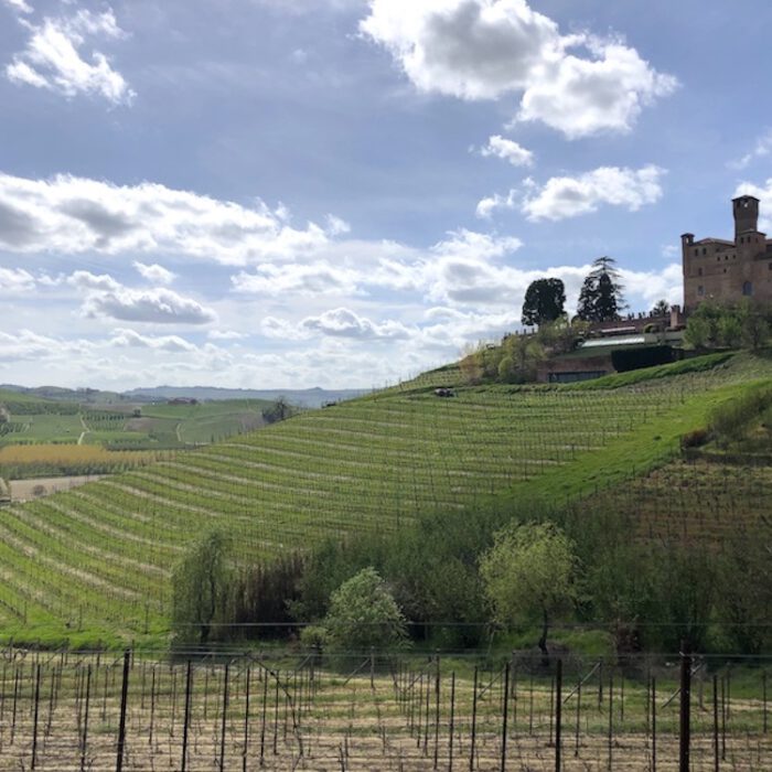 Piemont Landschaft Thumb Piemont Landschaft Thumb