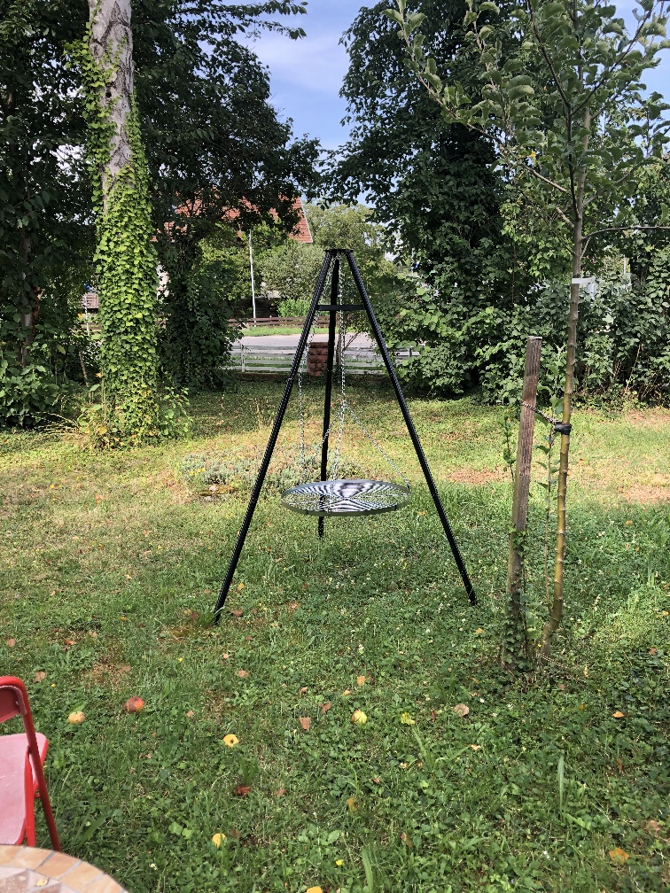 Grillen und Wein